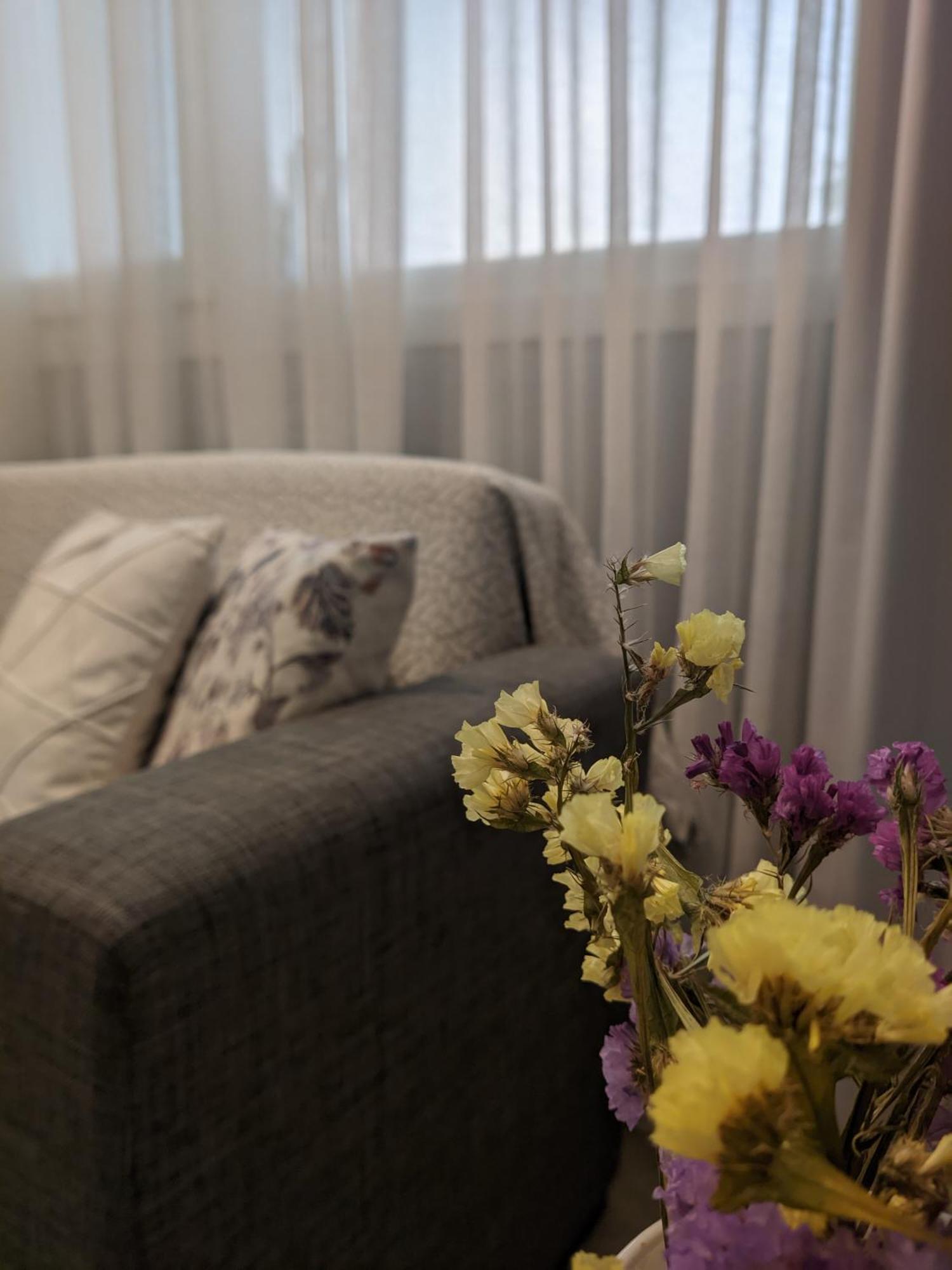 Aristo Central Apartments 이오아니아 외부 사진